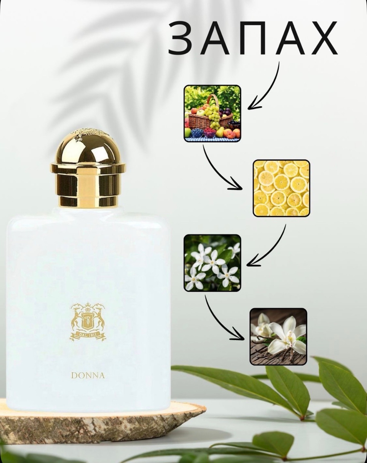 Пирамида аромата Trussardi Donna